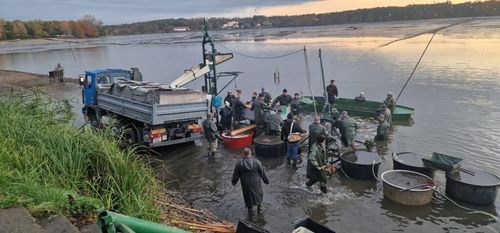 20241023_074325-1024x478 (1).jpg